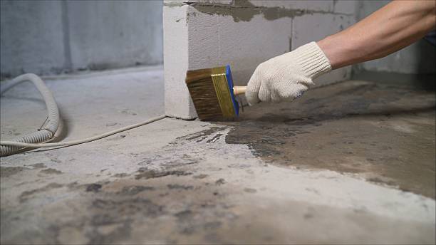 SJ Waterproofing Pros Waterproofing coverage map for Albany, MN and surrounding area
